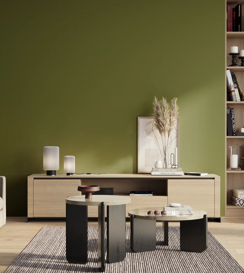 P10_SNIEZKA_salon_01_poranek_GREY_S4550-G50Y