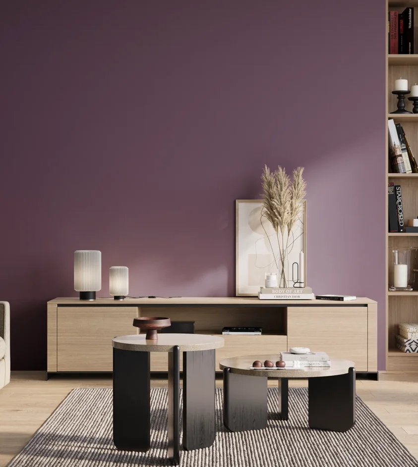 P10_SNIEZKA_salon_01_poranek_GREY_S5030-R50B