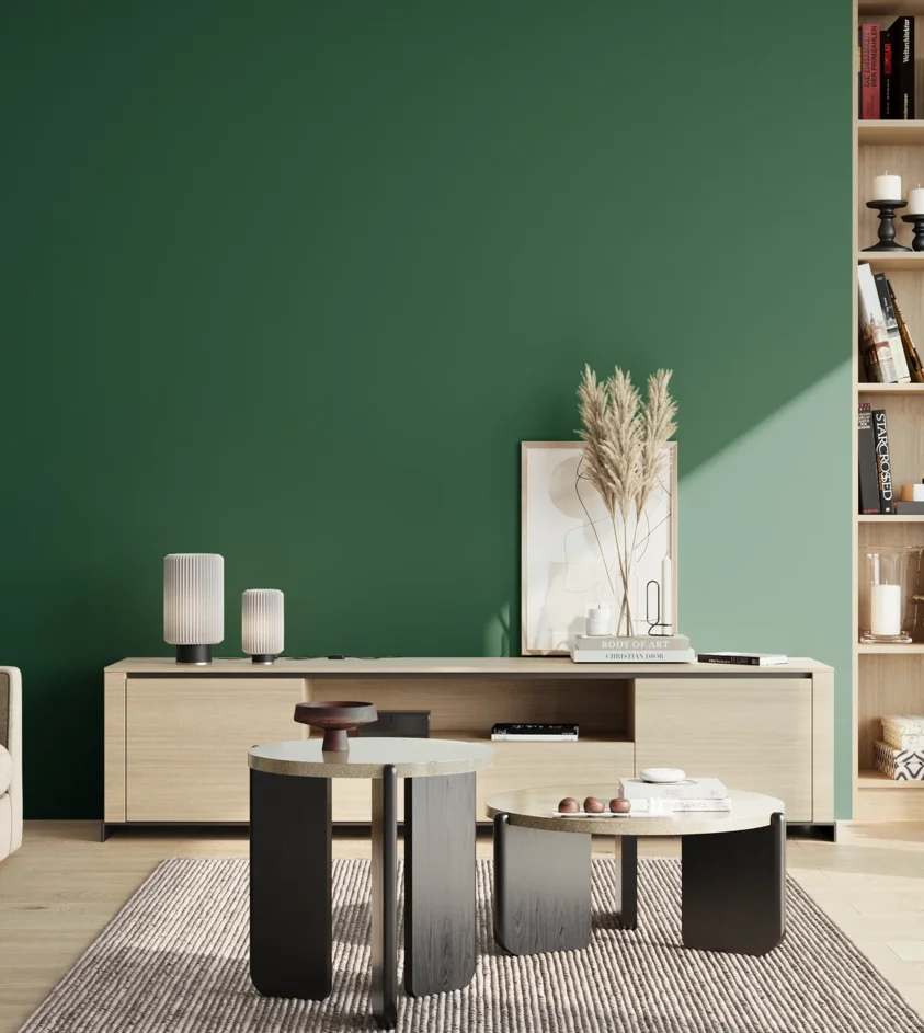 P10_SNIEZKA_salon_02_poludnie_GREY_S5540-G