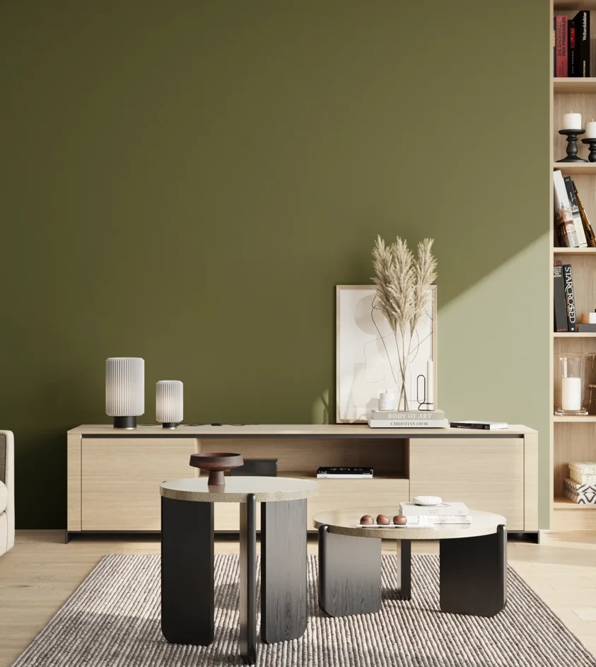 P10_SNIEZKA_salon_02_poludnie_GREY_S5540-G50Y