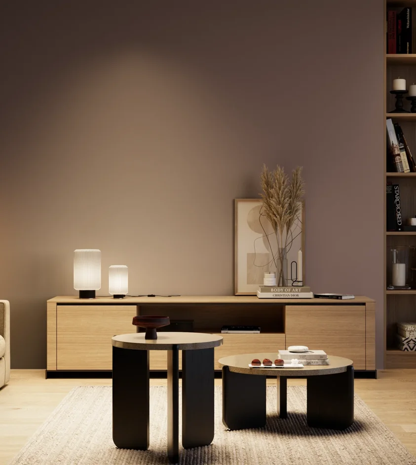 P10_SNIEZKA_salon_04_cieple_GREY_S6010-R10B