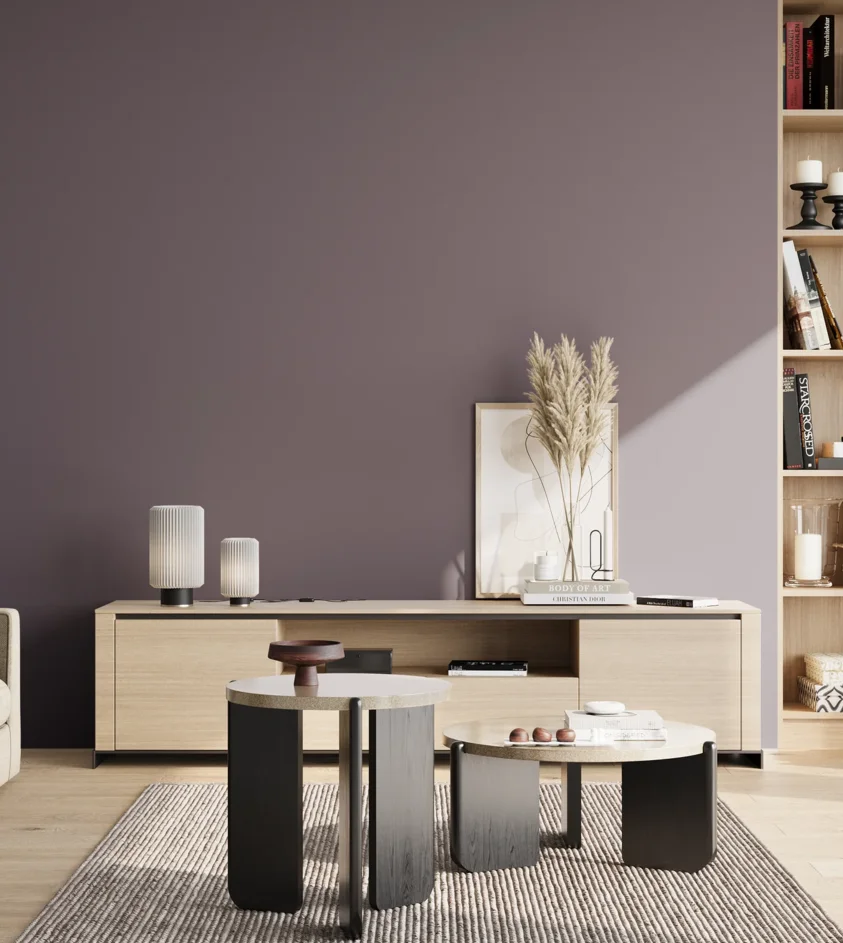 P10_SNIEZKA_salon_02_poludnie_GREY_S6010-R50B