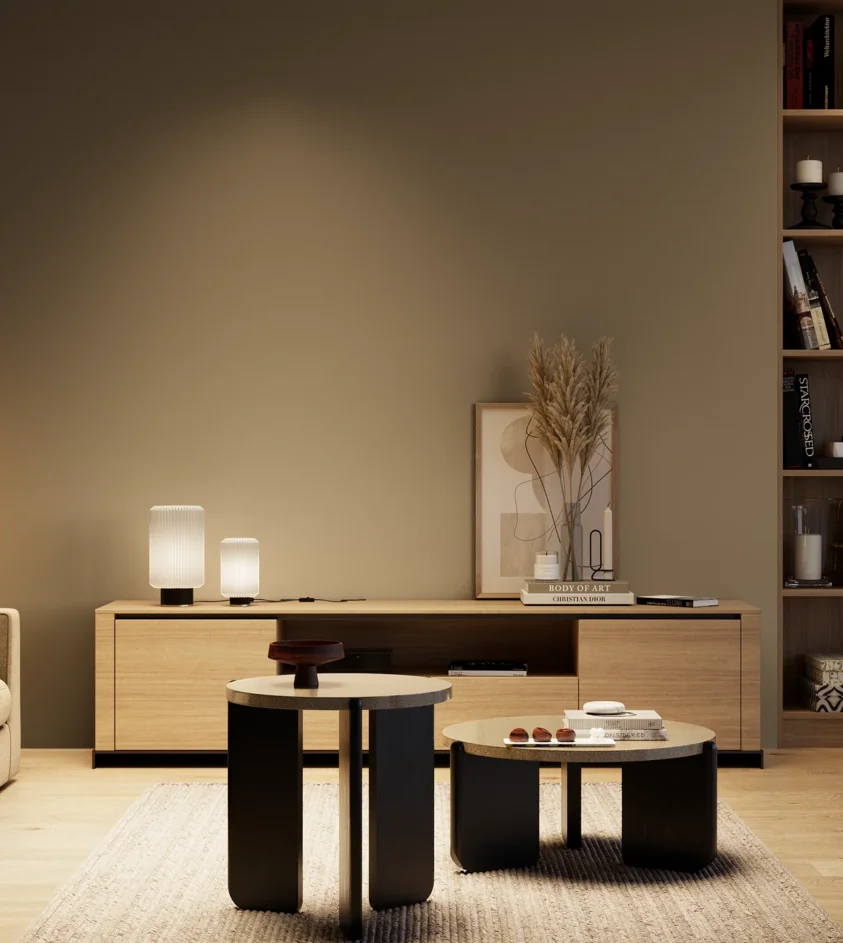 P10_SNIEZKA_salon_04_cieple_GREY_S6010-Y10R