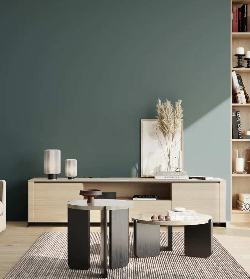 P10_SNIEZKA_salon_02_poludnie_GREY_S6020-B30G