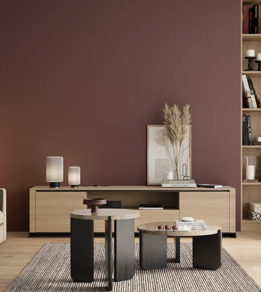 P10_SNIEZKA_salon_00_neutral_GREY_S6020-R10B
