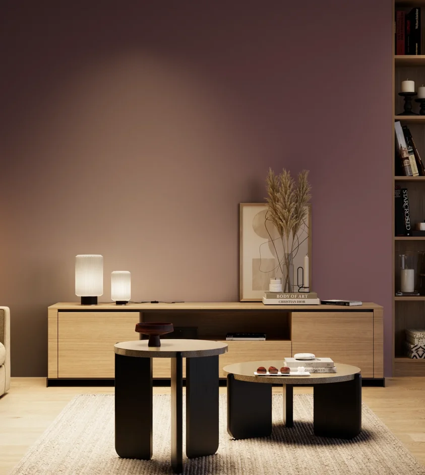 P10_SNIEZKA_salon_04_cieple_GREY_S6020-R30B