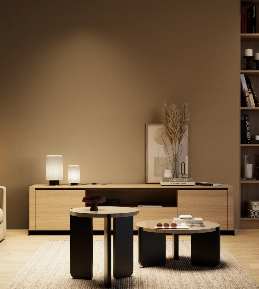 P10_SNIEZKA_salon_04_cieple_GREY_S6020-Y30R