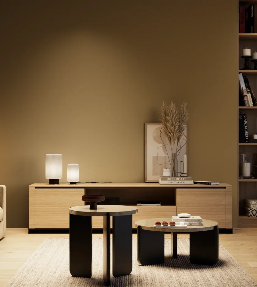 P10_SNIEZKA_salon_04_cieple_GREY_S6030-Y10R