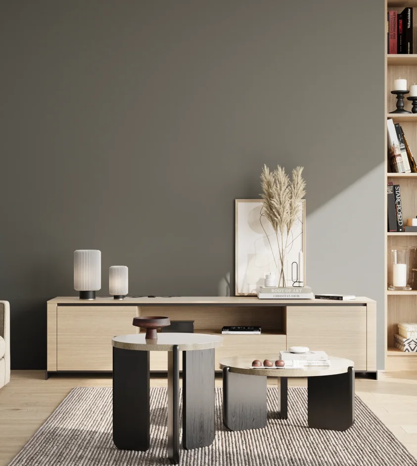 P10_SNIEZKA_salon_02_poludnie_GREY_S6502-G