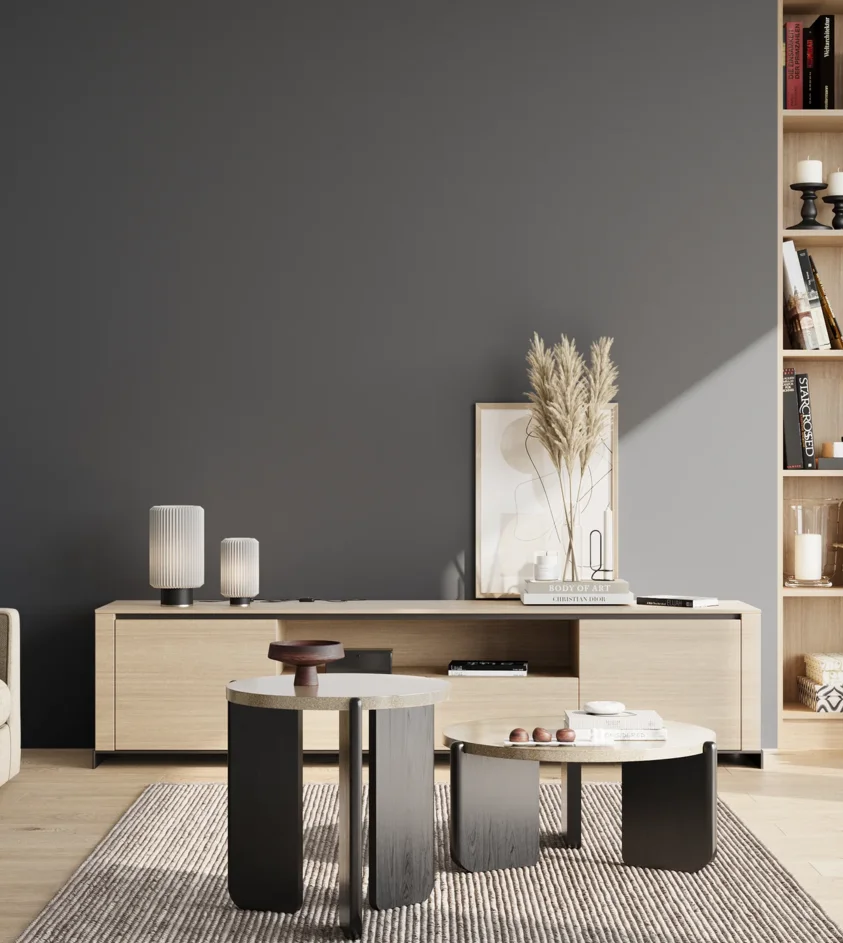 P10_SNIEZKA_salon_02_poludnie_GREY_S7010-R90B