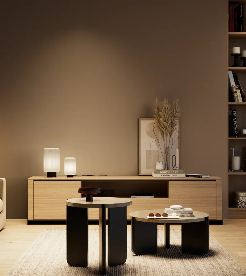 P10_SNIEZKA_salon_04_cieple_GREY_S7010-Y50R