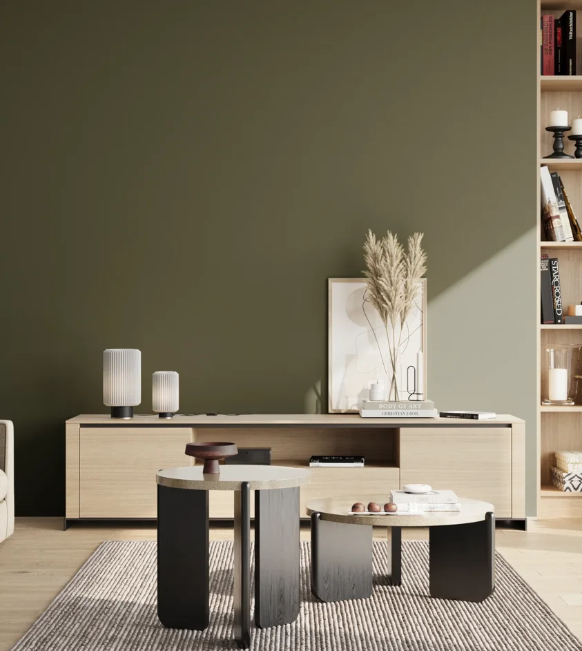 P10_SNIEZKA_salon_02_poludnie_GREY_S7020-G50Y