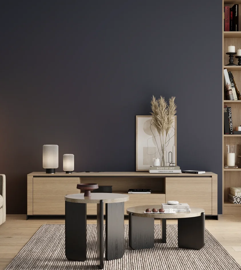 P10_SNIEZKA_salon_00_neutral_GREY_S7020-R80B