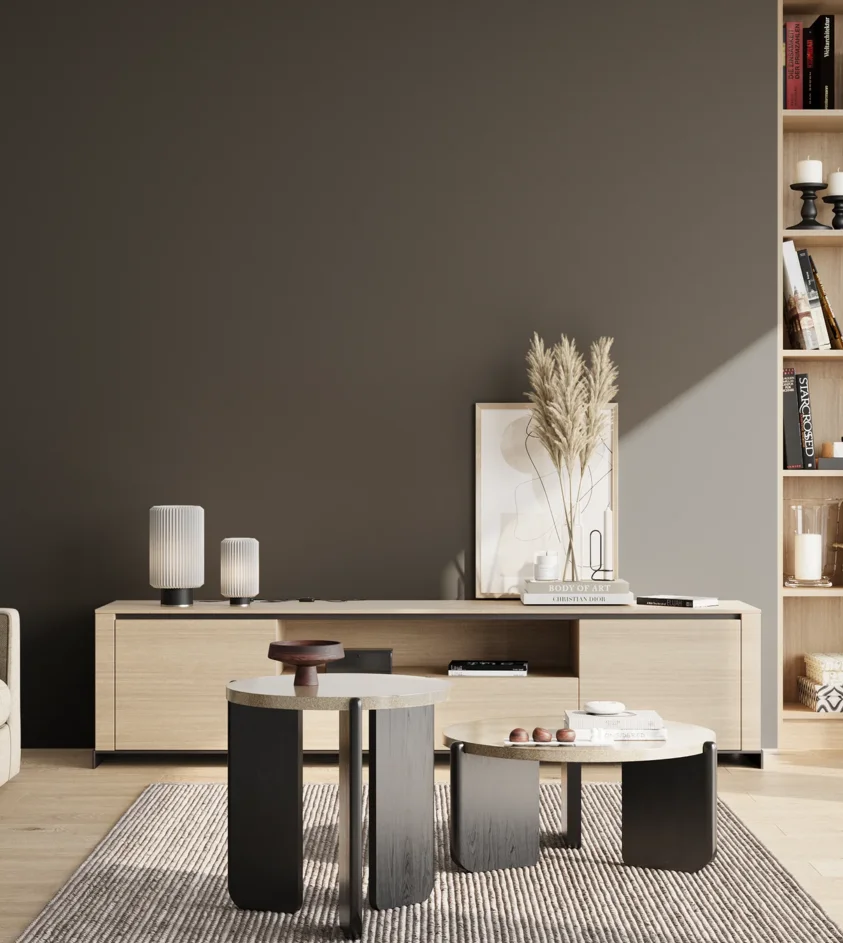 P10_SNIEZKA_salon_02_poludnie_GREY_S8010-B30G