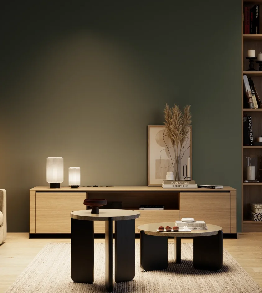 P10_SNIEZKA_salon_04_cieple_GREY_S8010-B90G