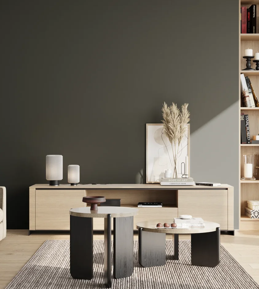 P10_SNIEZKA_salon_02_poludnie_GREY_S8505-B80G