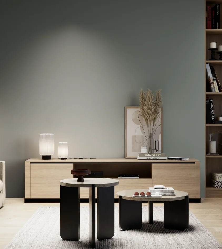 P10_SNIEZKA_salon_05_zimne_GREY_S5005-G