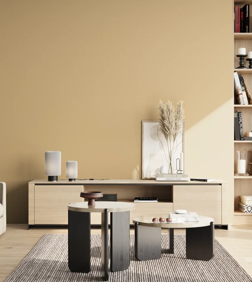 P10_SNIEZKA_salon_02_poludnie_GREY_RAL1014