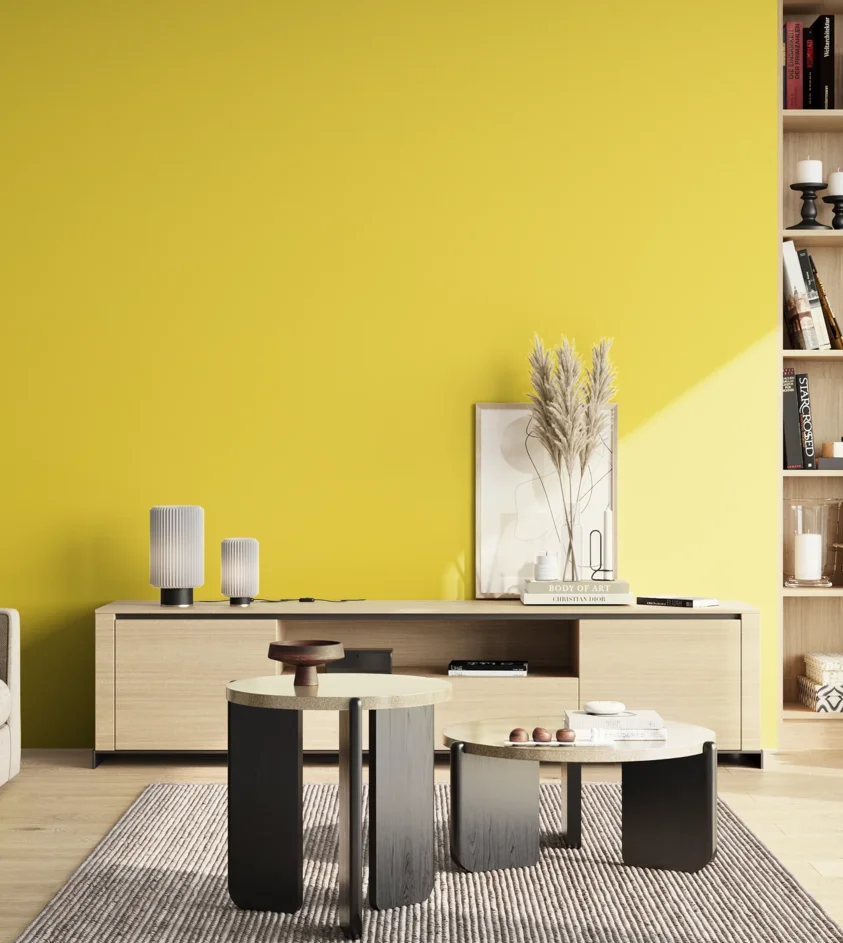 P10_SNIEZKA_salon_02_poludnie_GREY_RAL1016