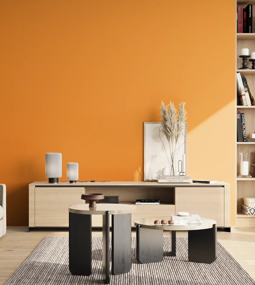 P10_SNIEZKA_salon_02_poludnie_GREY_RAL1033