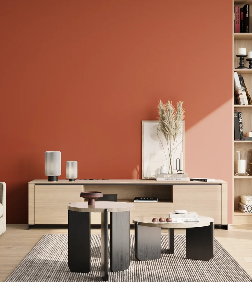 P10_SNIEZKA_salon_02_poludnie_GREY_RAL2001