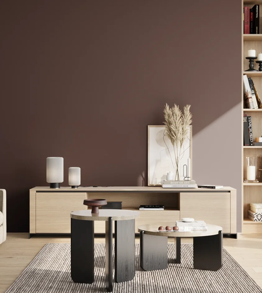 P10_SNIEZKA_salon_02_poludnie_GREY_RAL3007