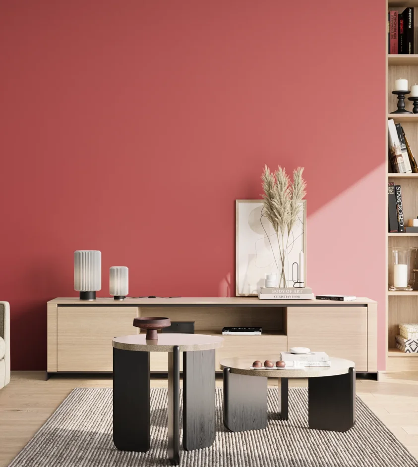 P10_SNIEZKA_salon_02_poludnie_GREY_RAL3017