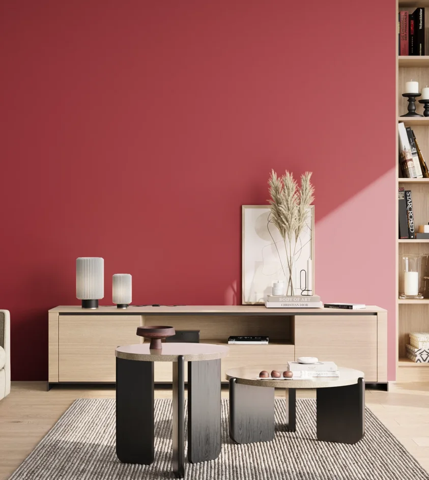 P10_SNIEZKA_salon_02_poludnie_GREY_RAL3027