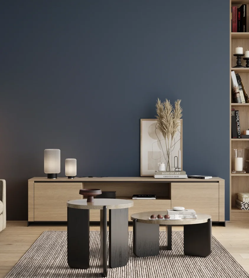 P10_SNIEZKA_salon_00_neutral_GREY_RAL5000