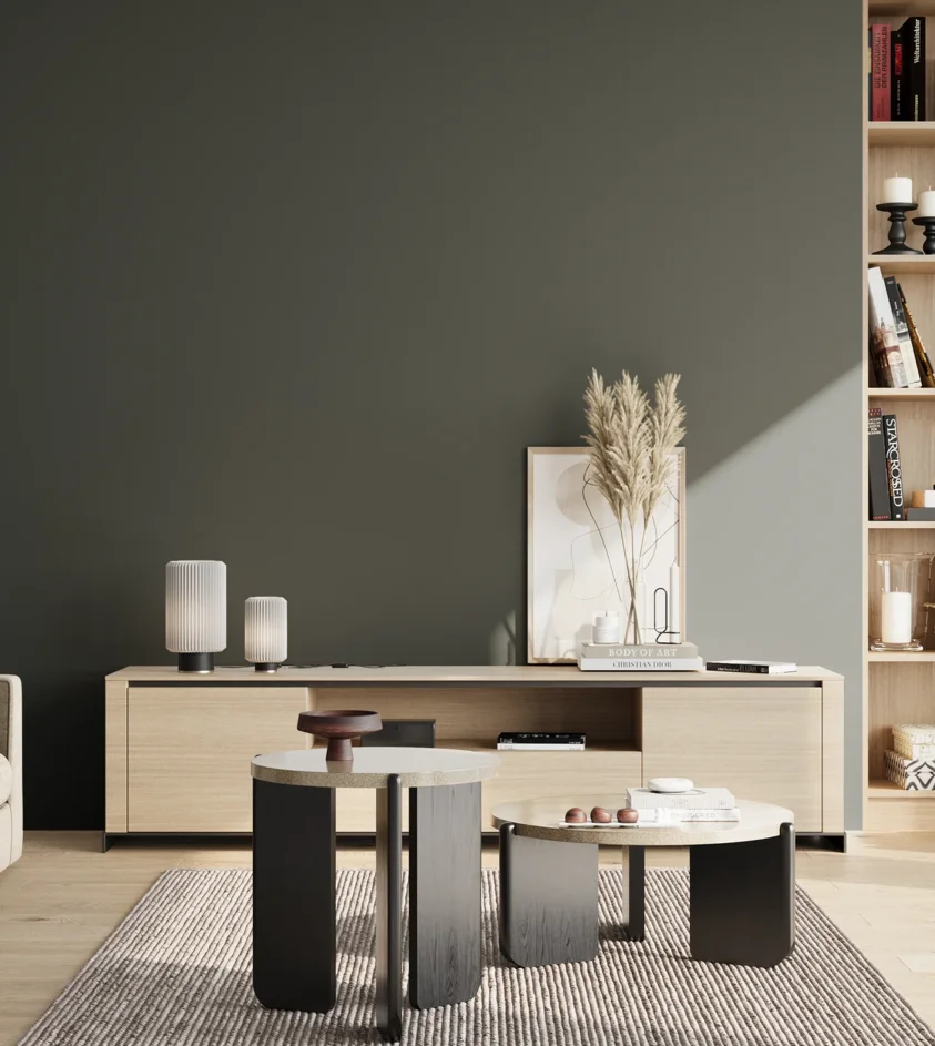 P10_SNIEZKA_salon_02_poludnie_GREY_RAL6012