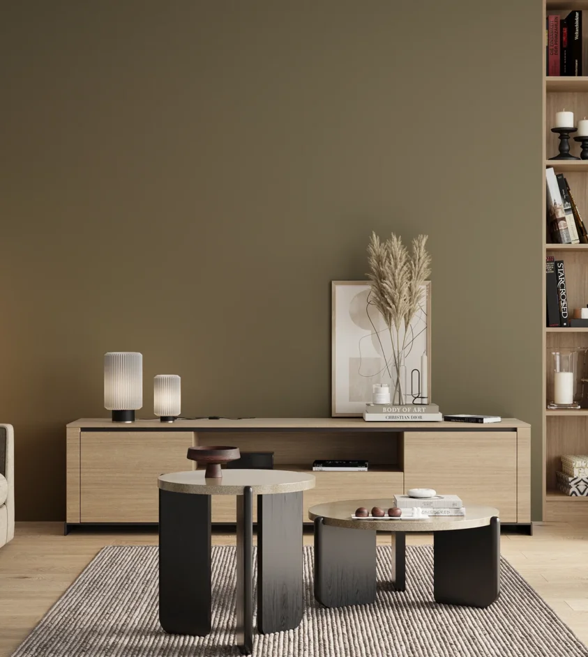 P10_SNIEZKA_salon_00_neutral_GREY_RAL6013