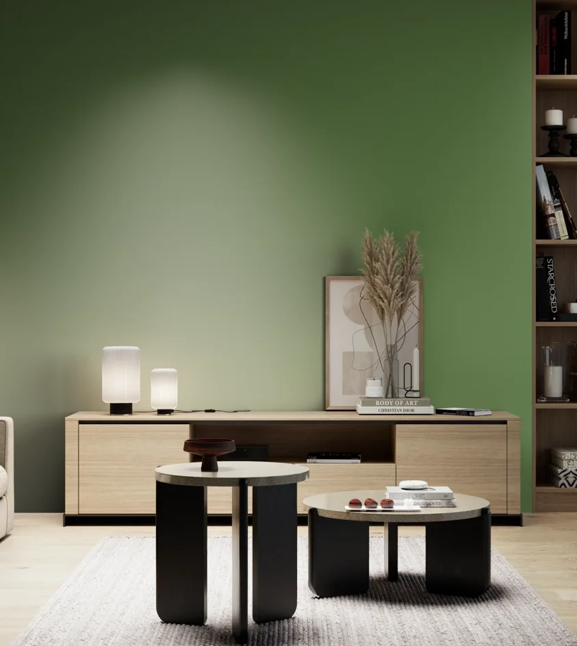 P10_SNIEZKA_salon_05_zimne_GREY_RAL6017