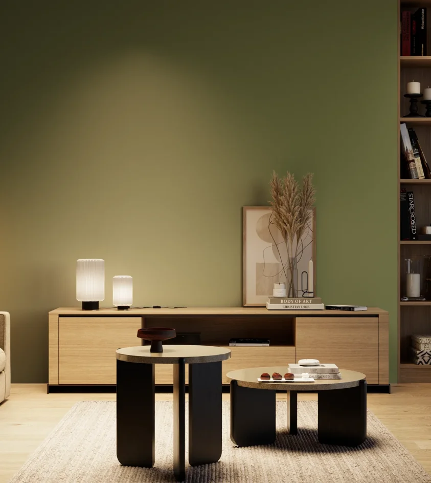 P10_SNIEZKA_salon_04_cieple_GREY_RAL6025