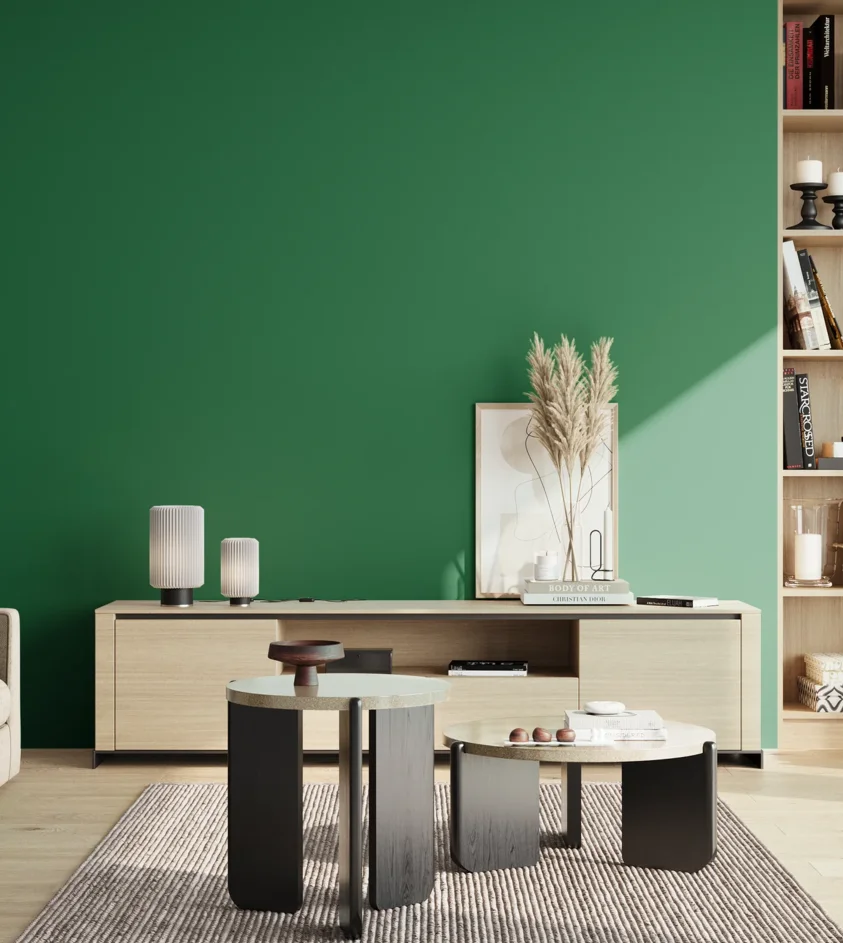 P10_SNIEZKA_salon_02_poludnie_GREY_RAL6029
