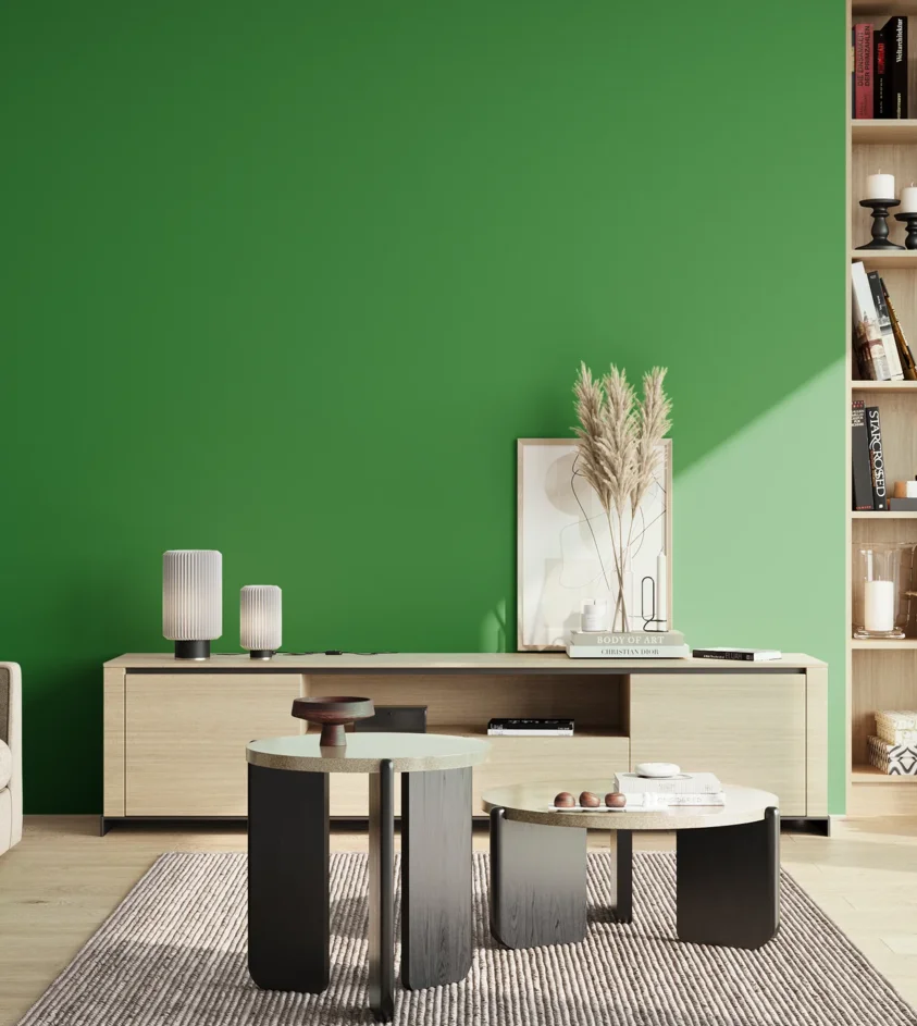 P10_SNIEZKA_salon_02_poludnie_GREY_RAL6037