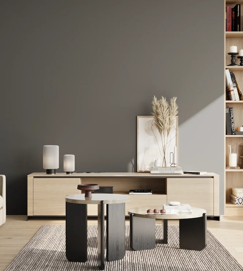 P10_SNIEZKA_salon_02_poludnie_GREY_RAL7012