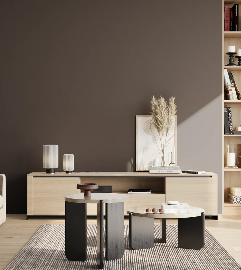 P10_SNIEZKA_salon_02_poludnie_GREY_RAL8019