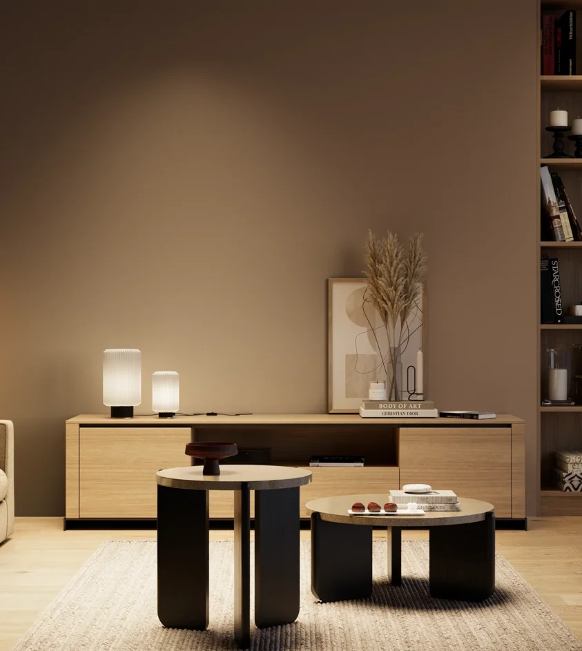 P10_SNIEZKA_salon_04_cieple_GREY_RAL8025
