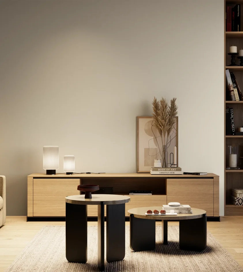 P10_SNIEZKA_salon_04_cieple_GREY_RAL9010