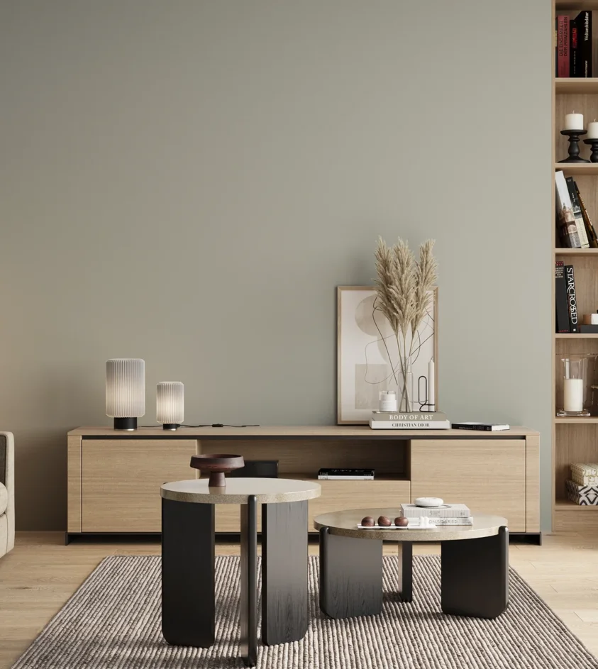 P10_SNIEZKA_salon_00_neutral_GREY_RAL9018