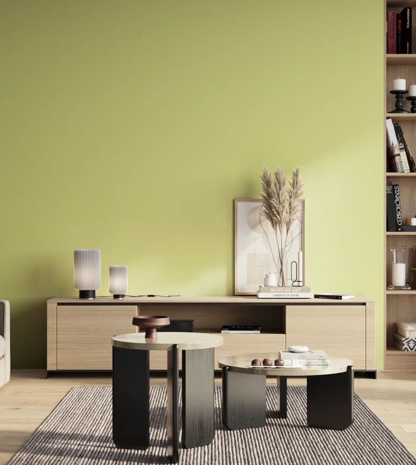 P10_SNIEZKA_salon_01_poranek_GREY_S0530-G70Y