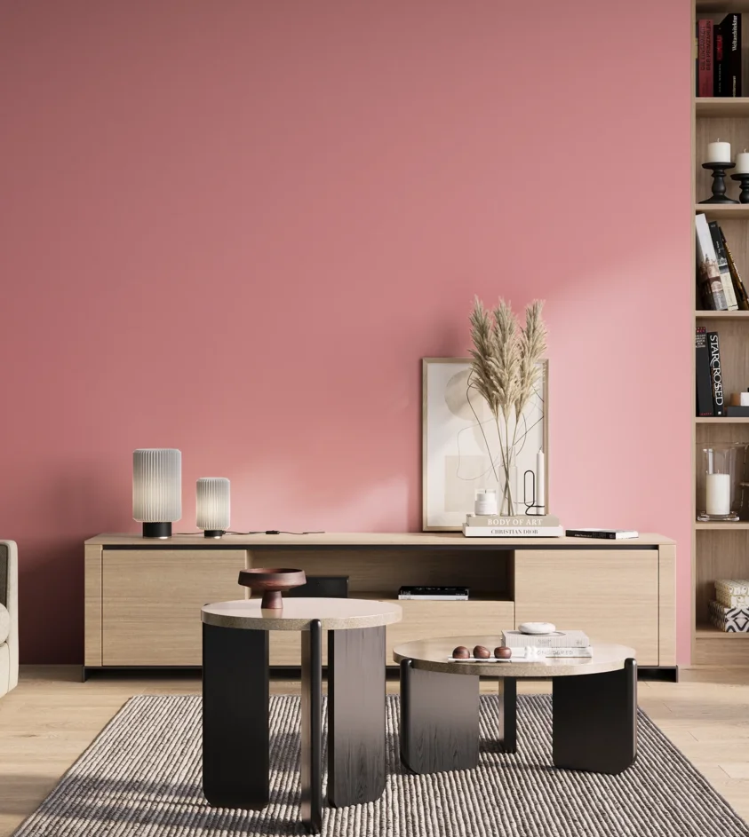 P10_SNIEZKA_salon_01_poranek_GREY_S0540-R10B