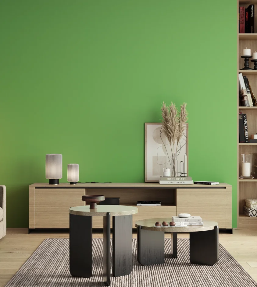 P10_SNIEZKA_salon_00_neutral_GREY_S0560-G20Y