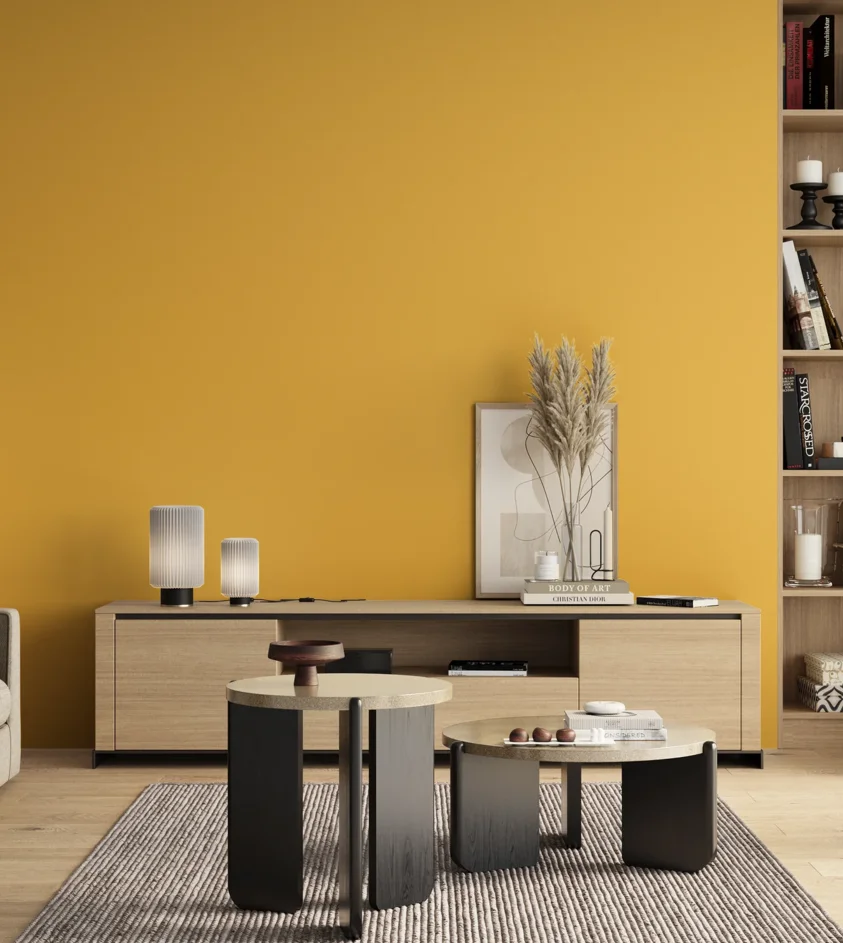 P10_SNIEZKA_salon_00_neutral_GREY_S0560-Y10R