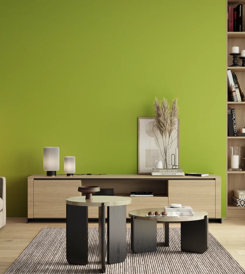 P10_SNIEZKA_salon_00_neutral_GREY_S0565-G50Y