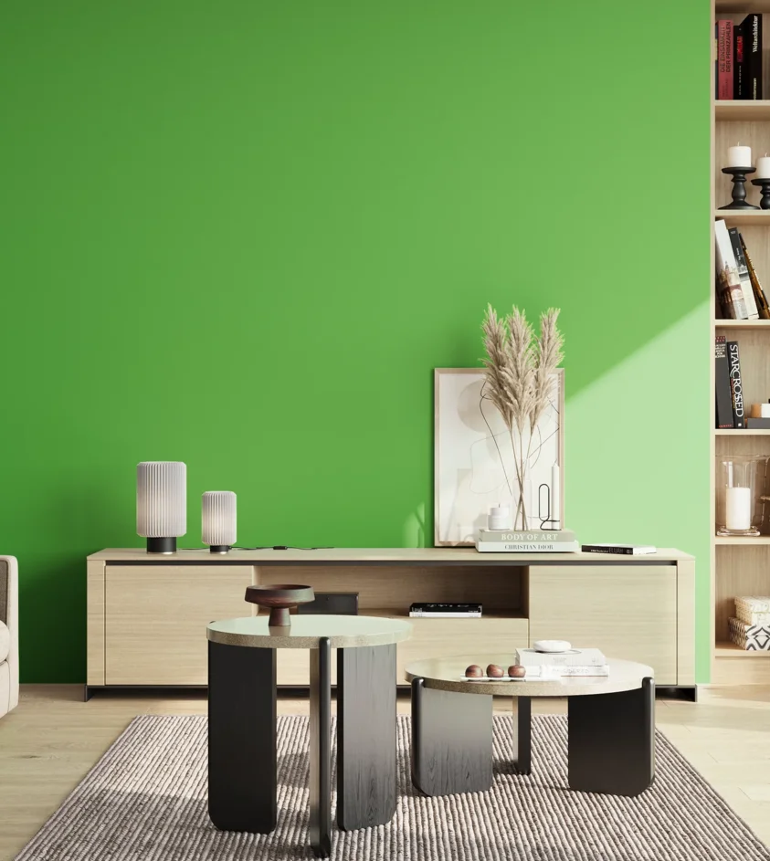 P10_SNIEZKA_salon_02_poludnie_GREY_S0575-G20Y