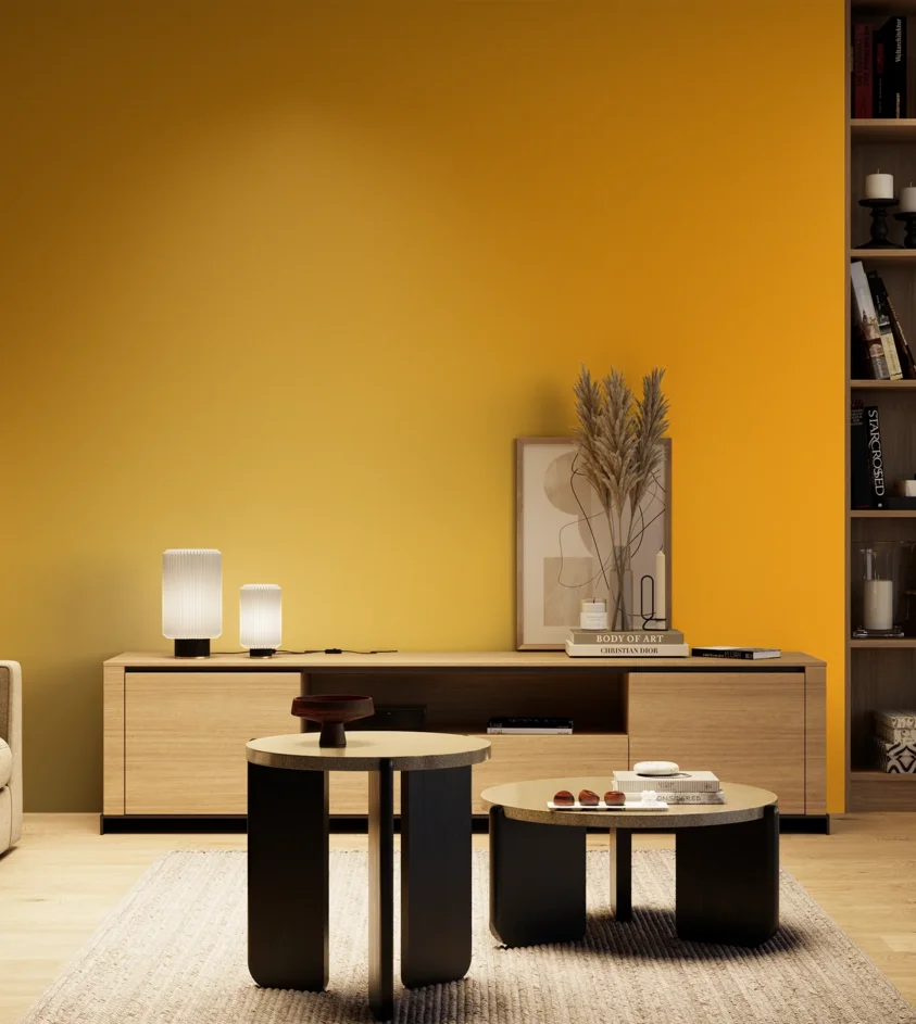 P10_SNIEZKA_salon_04_cieple_GREY_S0580-Y20R