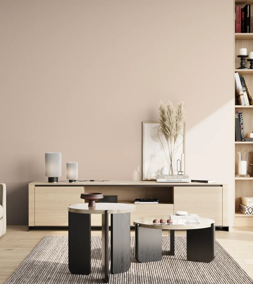 P10_SNIEZKA_salon_02_poludnie_GREY_S0907-Y70R