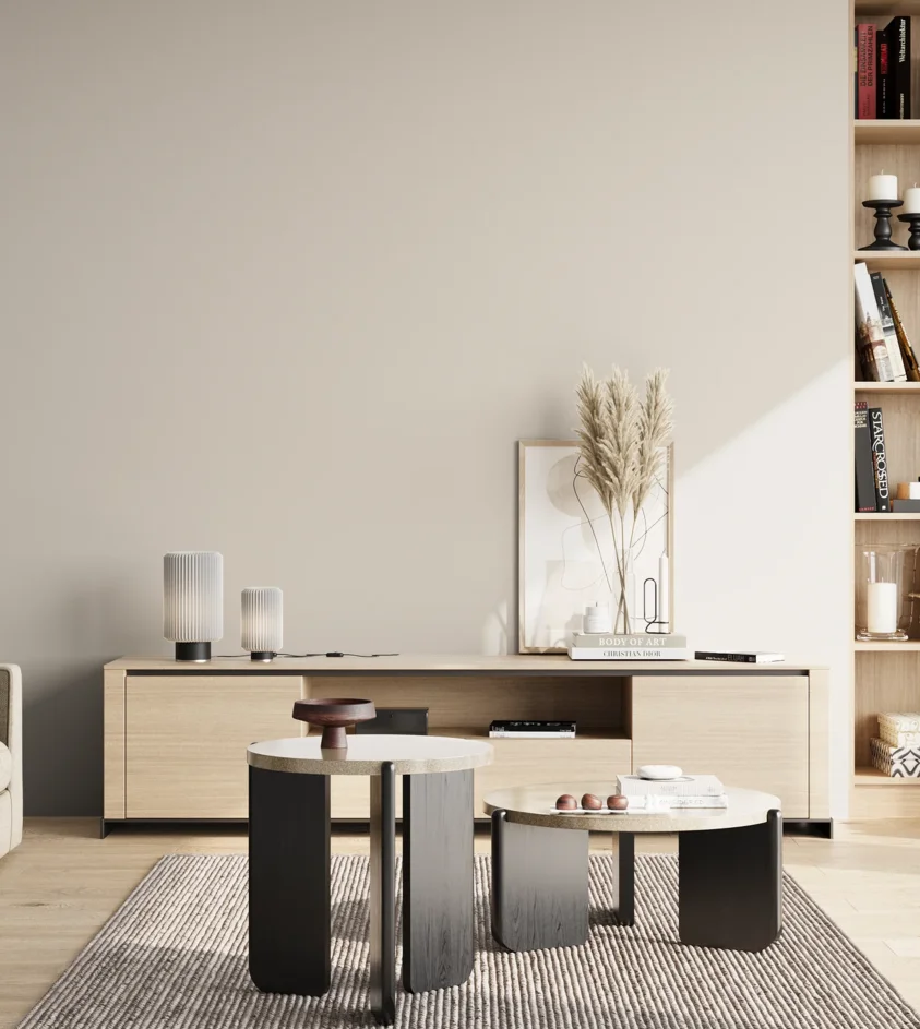 P10_SNIEZKA_salon_02_poludnie_GREY_S1002-Y50R