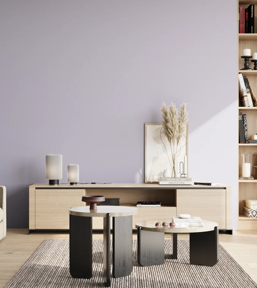P10_SNIEZKA_salon_02_poludnie_GREY_S1015-R60B